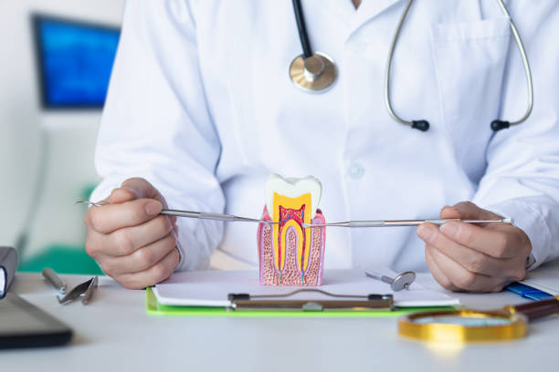 Best Emergency Wisdom Teeth Removal in Oak Ridge, FL